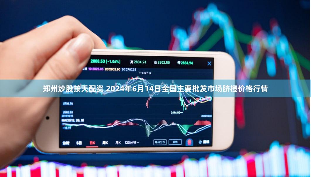 郑州炒股按天配资 2024年6月14日全国主要批发市场脐橙价格行情