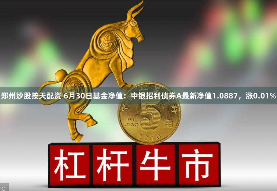 郑州炒股按天配资 6月30日基金净值:中银招利债券A最新净值1.0887,涨0.01%