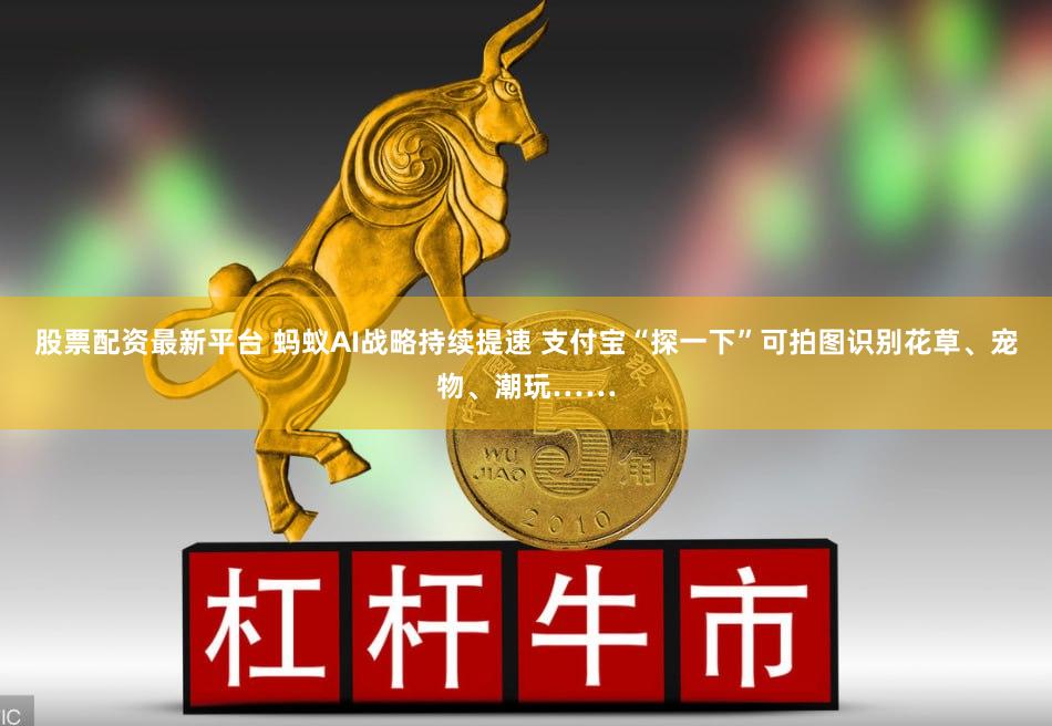 股票配资最新平台 蚂蚁AI战略持续提速 支付宝“探一下”可拍图识别花草、宠物、潮玩……