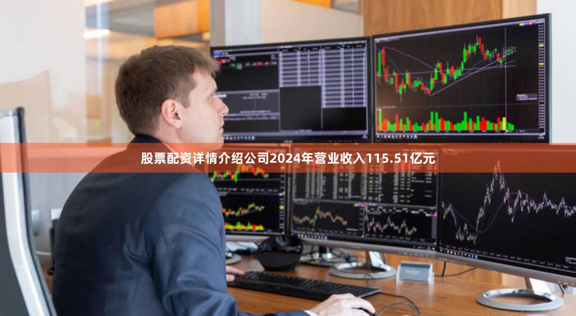 股票配资详情介绍公司2024年营业收入115.51亿元