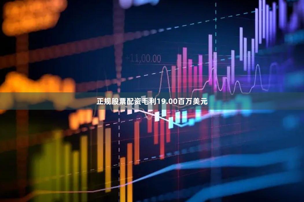正规股票配资毛利19.00百万美元